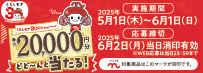 炵A30NLy[ ő20,000~ǂǁ`ƓILy[