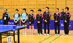 �I�[�N���싅��